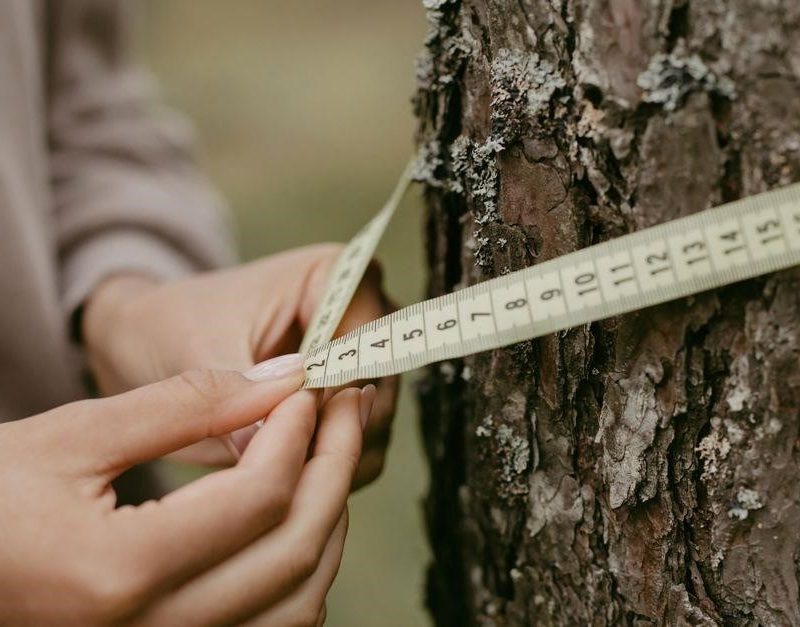 watch measurement guide